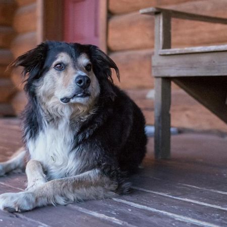 Hotel Wells Gray Guest Ranch Clearwater Zewnętrze zdjęcie