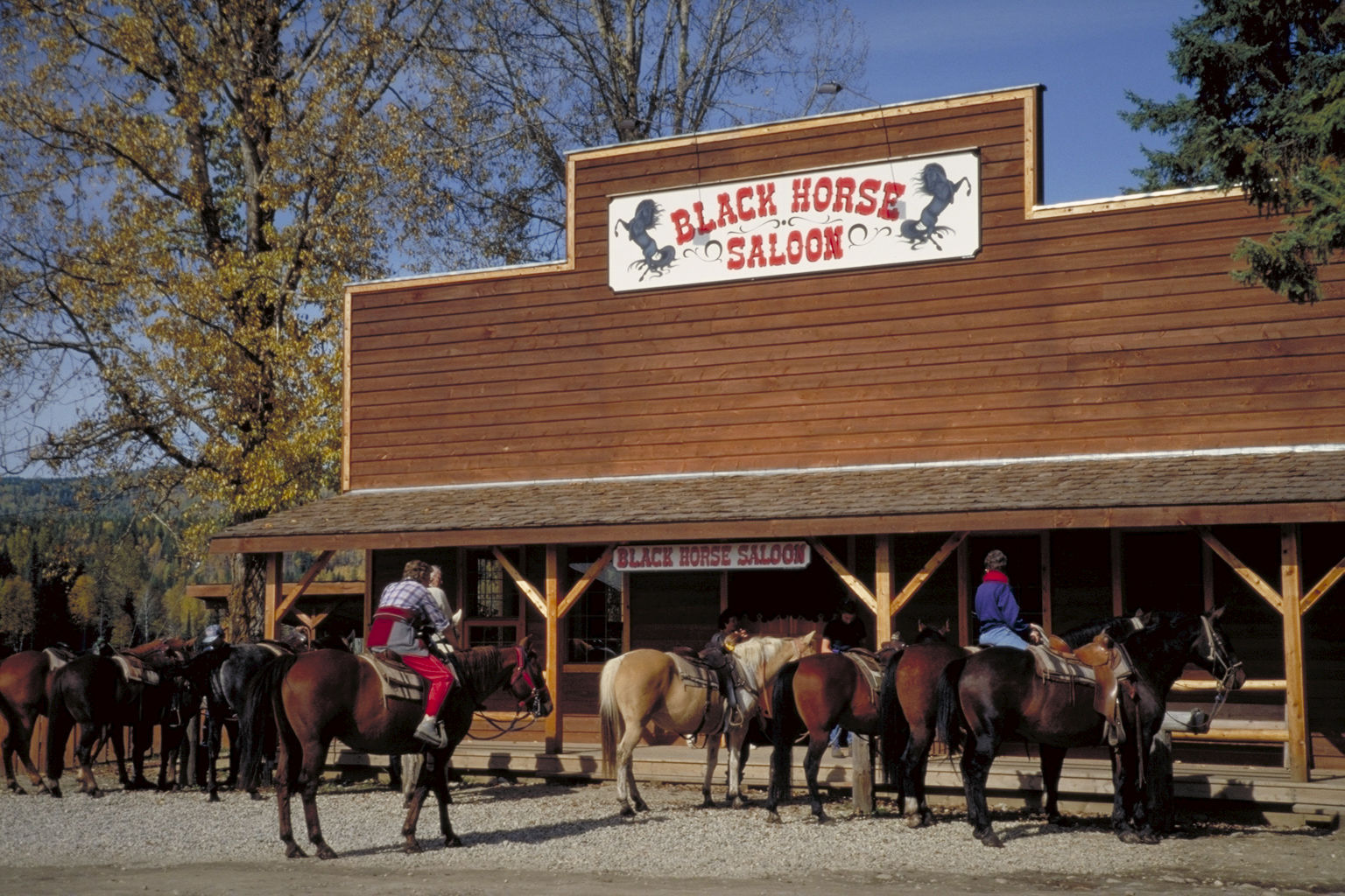 Hotel Wells Gray Guest Ranch Clearwater Zewnętrze zdjęcie