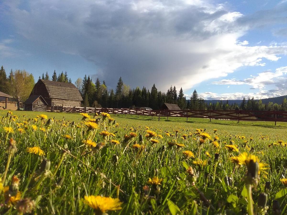 Hotel Wells Gray Guest Ranch Clearwater Zewnętrze zdjęcie